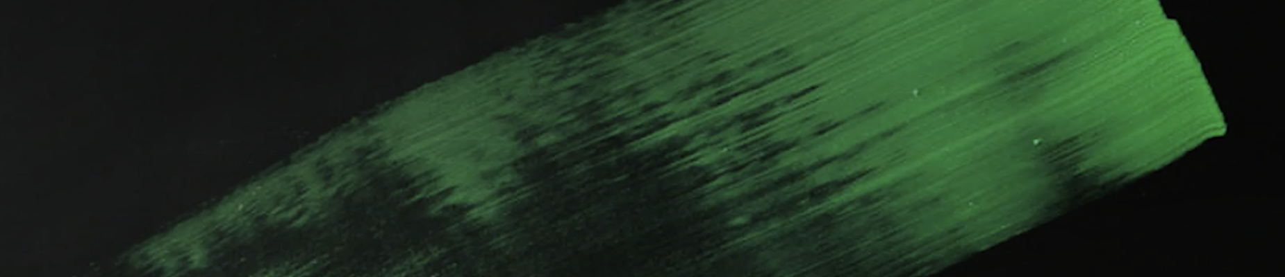 90th Saudi National Day